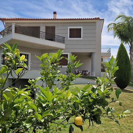 Dimitris Villa Aigio Exteriör bild
