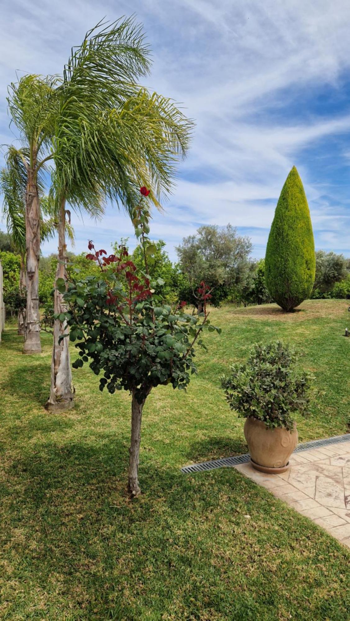 Dimitris Villa Aigio Exteriör bild