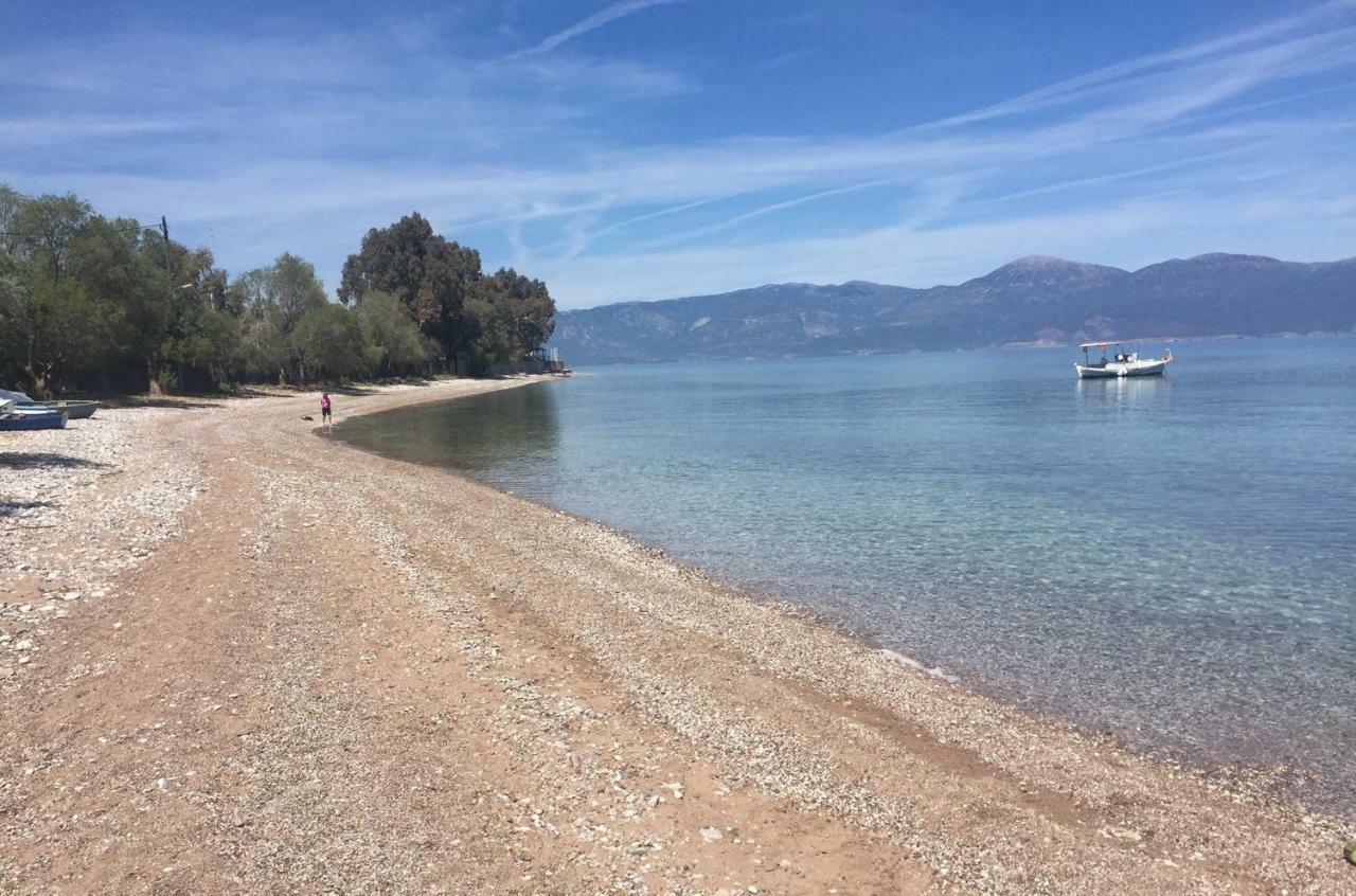 Dimitris Villa Aigio Exteriör bild